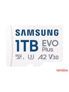 Samsung EVO PLUS (Blue Wave) 160MB/sec 1TB