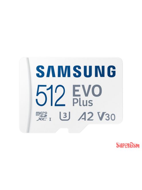 Samsung EVO PLUS (Blue Wave) 160MB/sec 512GB